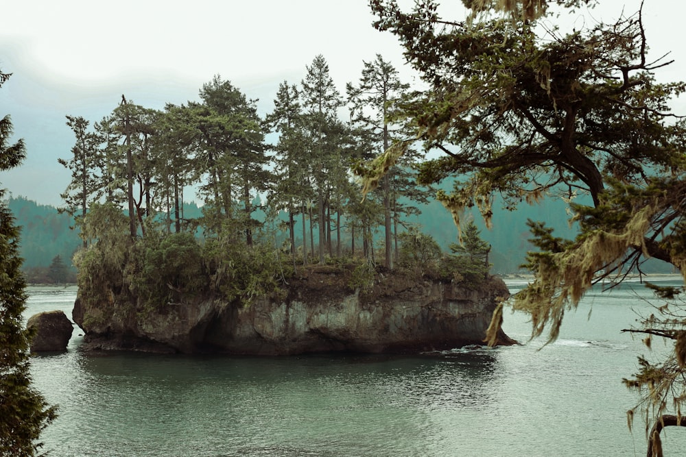 an island in the middle of a lake surrounded by trees