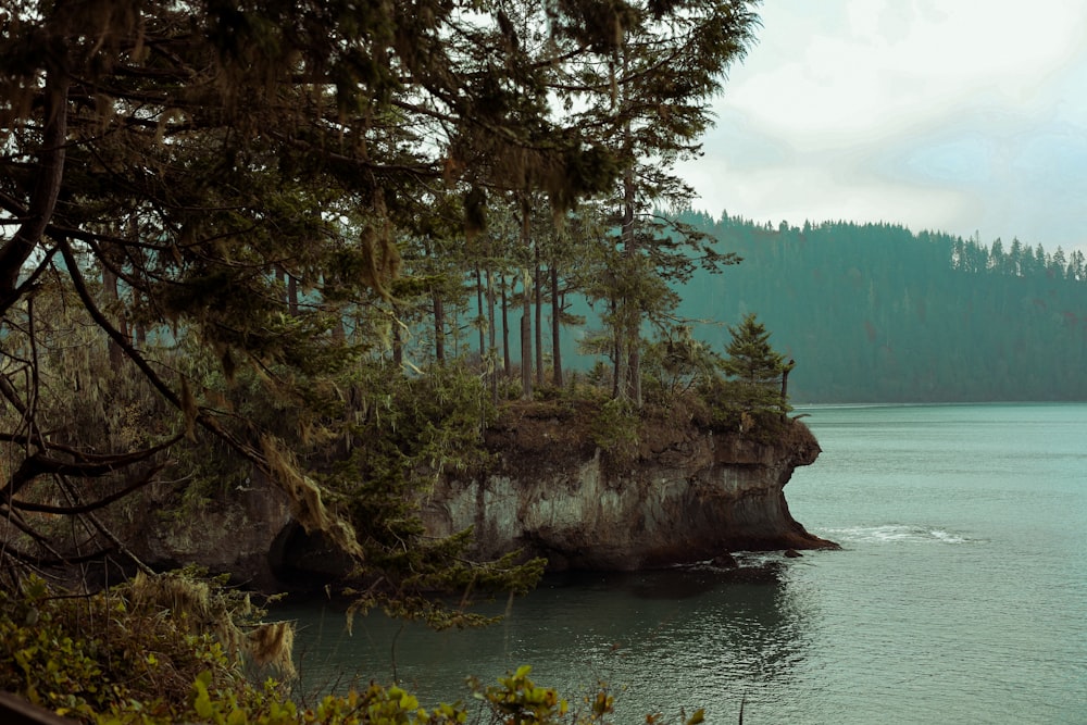 a large body of water surrounded by trees