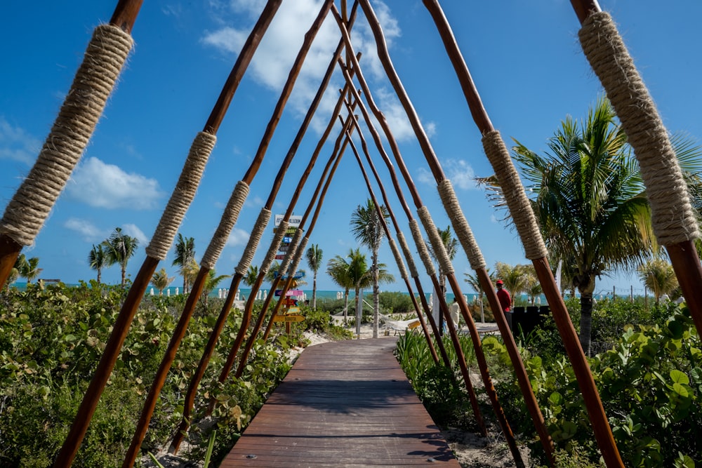 a wooden walkway surrounded by palm trees on a sunny day