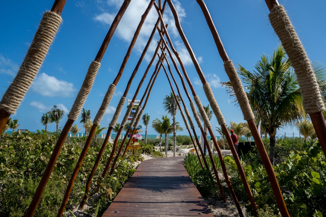 a wooden walkway surrounded by palm trees on a sunny day,