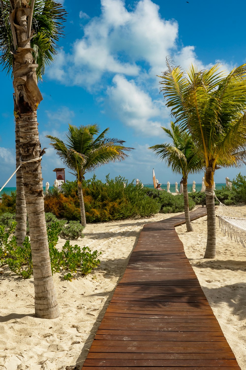 a wooden walkway between two palm trees on a beach