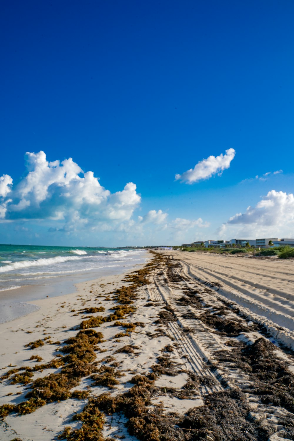 a sandy beach next to the ocean under a blue sky