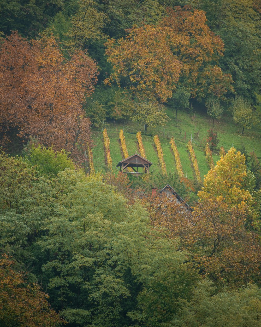 a gazebo in the middle of a field surrounded by trees