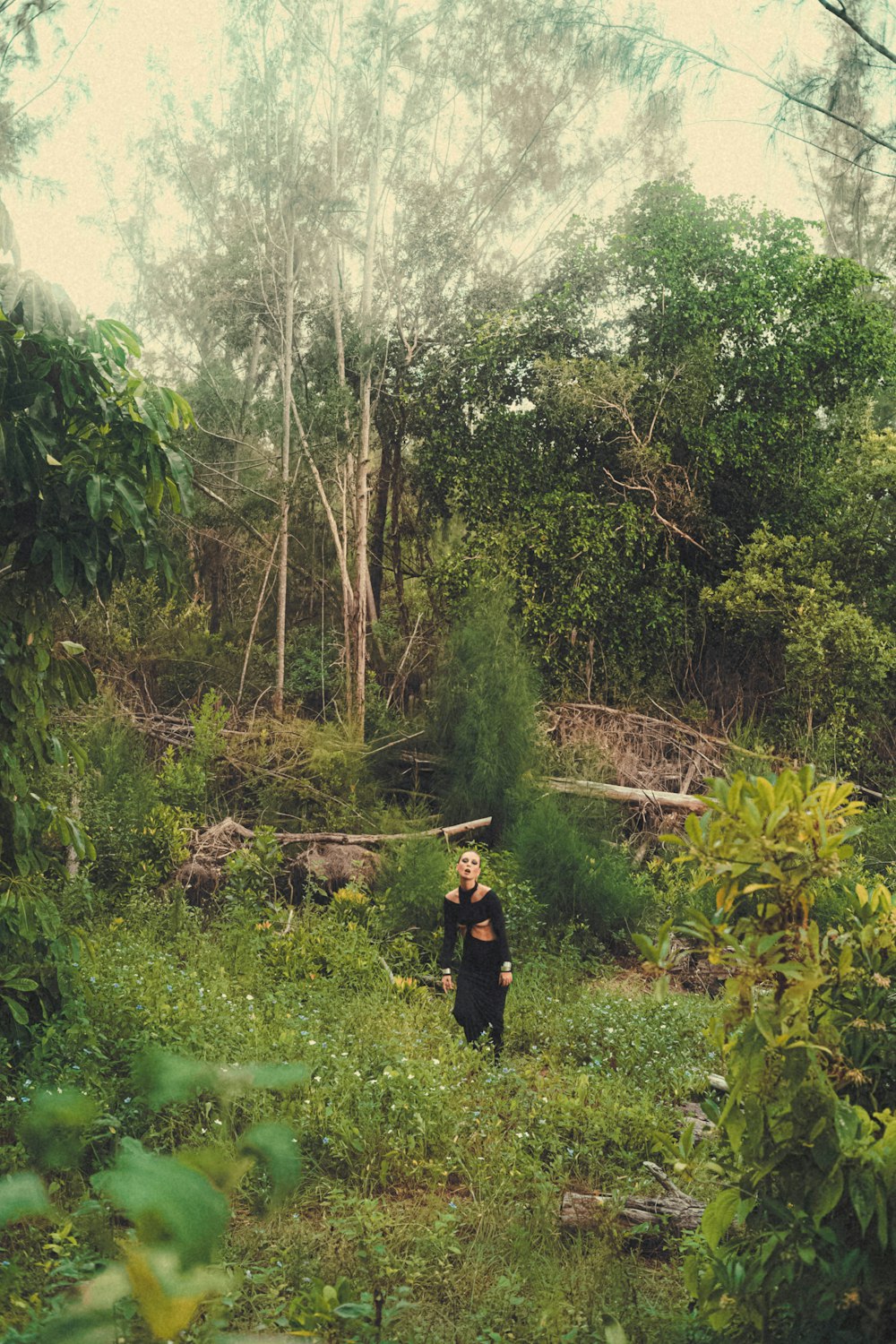 a person walking through a lush green forest