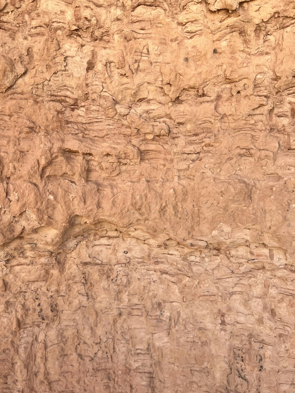 a bird is perched on a rock wall