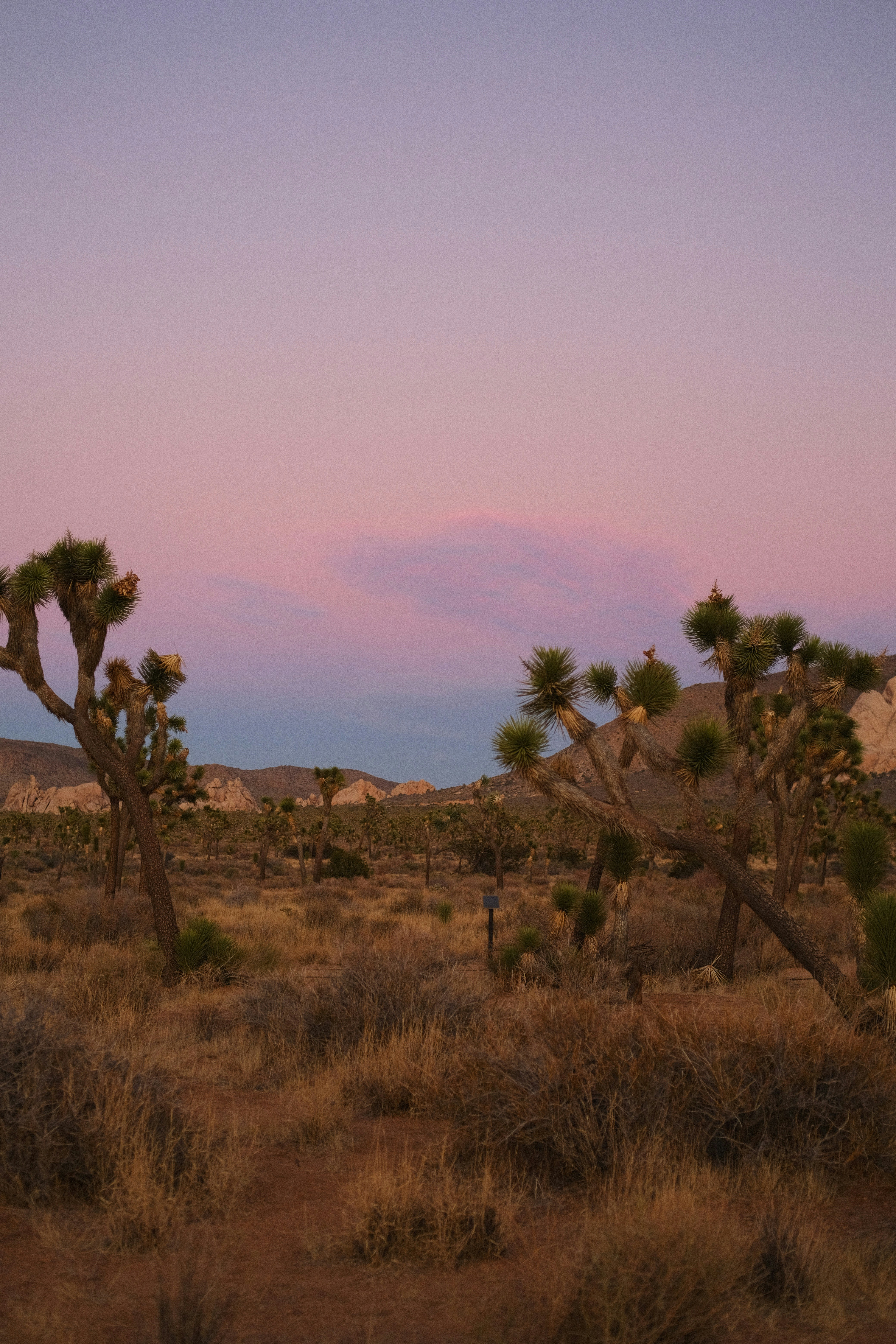 Photo by jasonkingwow