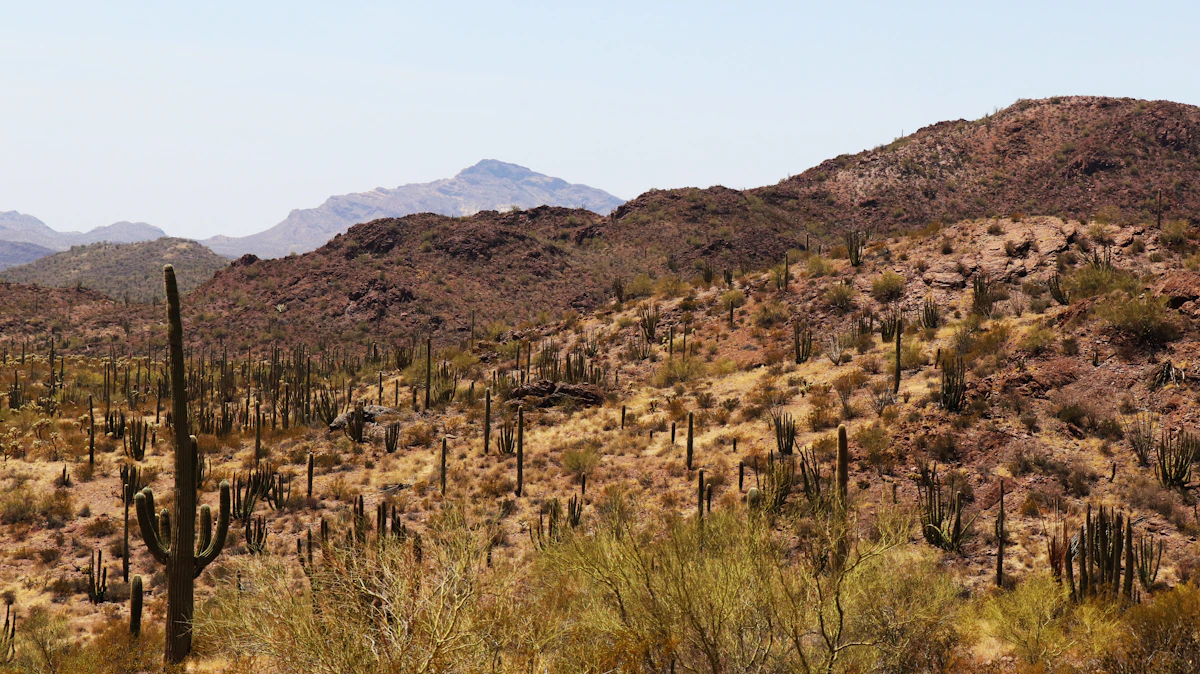 Peoria AZ Real Estate Market Data 2026