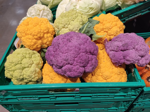 Rows of colorful vegetables neatly packed in crates for shipment.