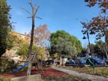 A small playground with a wooden climbing structure and a slide is surrounded by autumn trees. The ground is covered with red rubber safety flooring, and a bare tree stands in the foreground. In the background, there are several parked cars and a few buildings. Streetlamps line the pathway next to the playground.