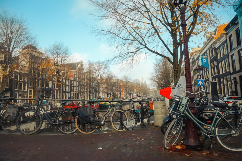 a bunch of bikes parked next to each other