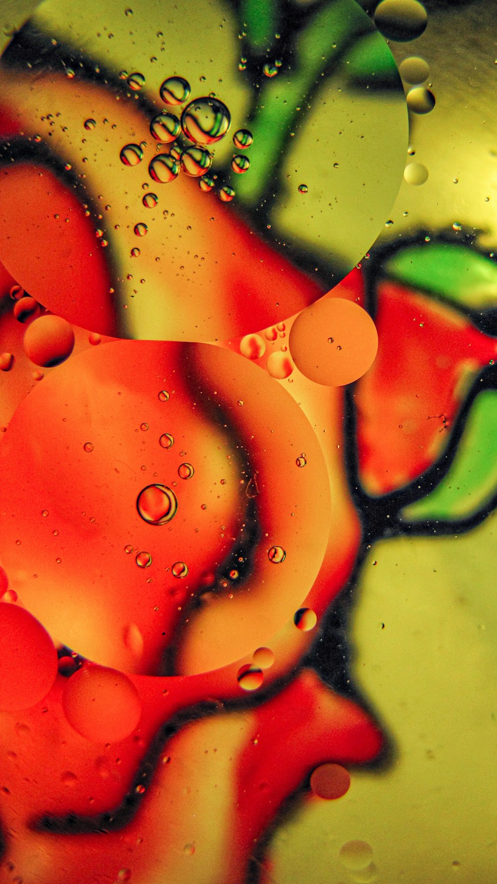 a close up of a red and green object with drops of water on it
