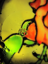 A close-up view of oil droplets suspended in water, with a colorful, abstract background featuring green and orange hues. The light refracts through the droplets, creating a magnified effect and intricate patterns.