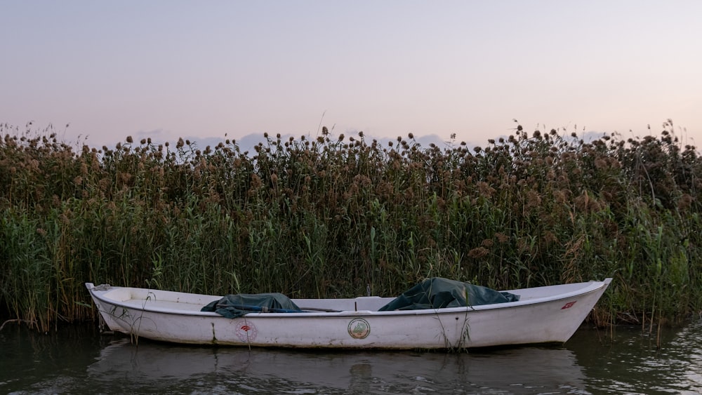 a small white boat floating on top of a lake