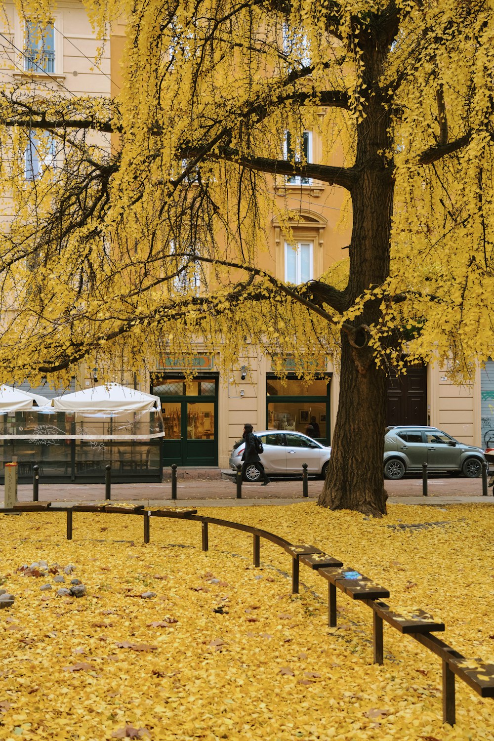 Eine Person, die auf einer Bank unter einem Baum sitzt