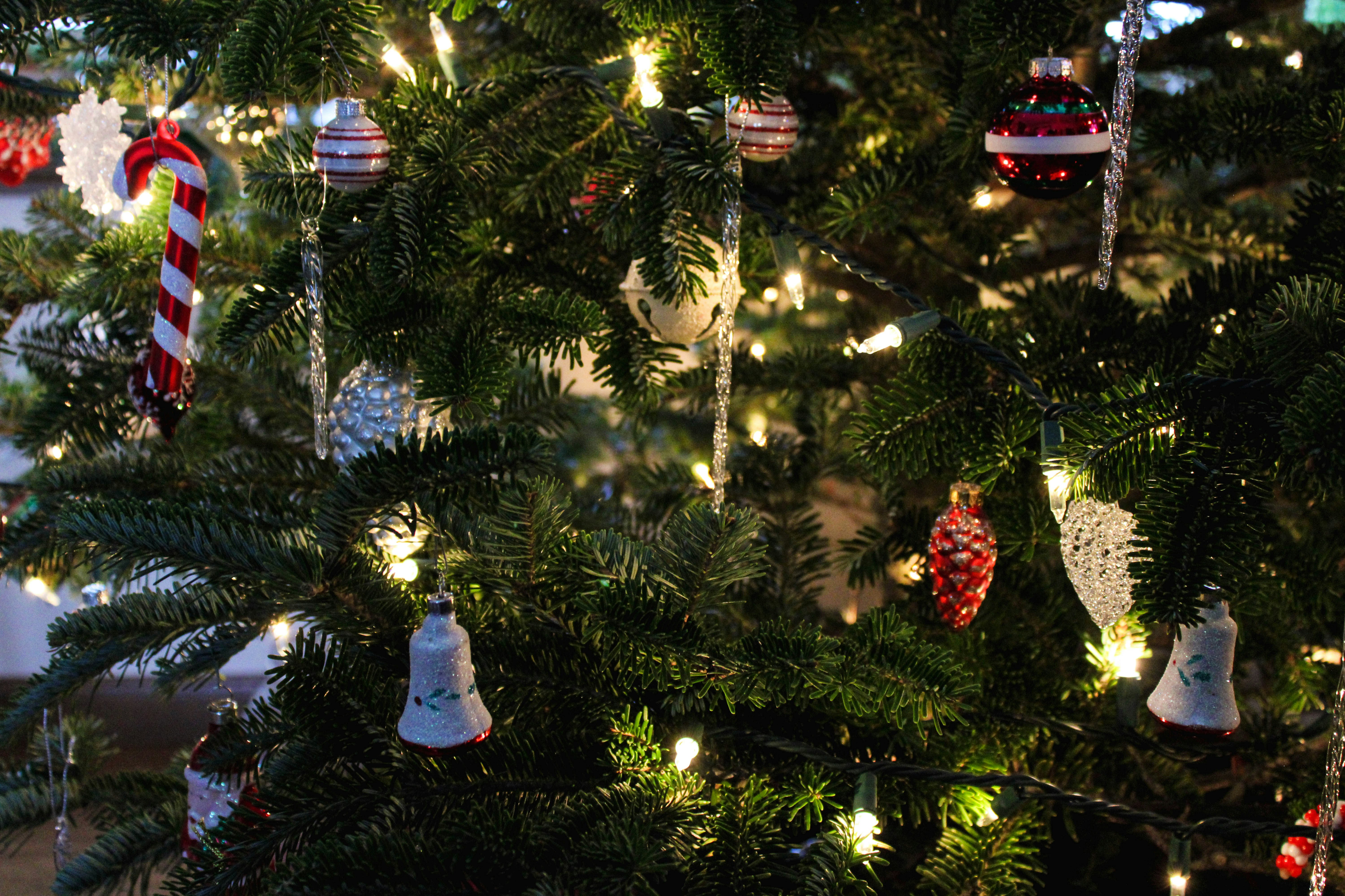 Photo by codyotto507