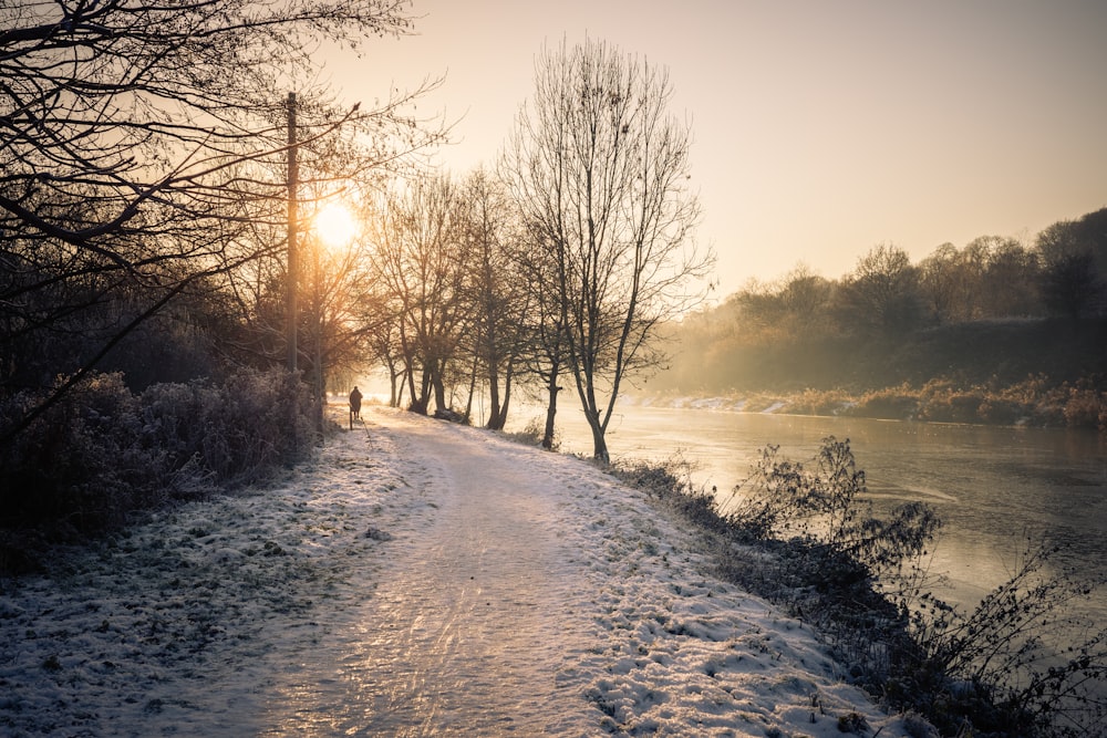 a person walking down a snow covered path next to a river