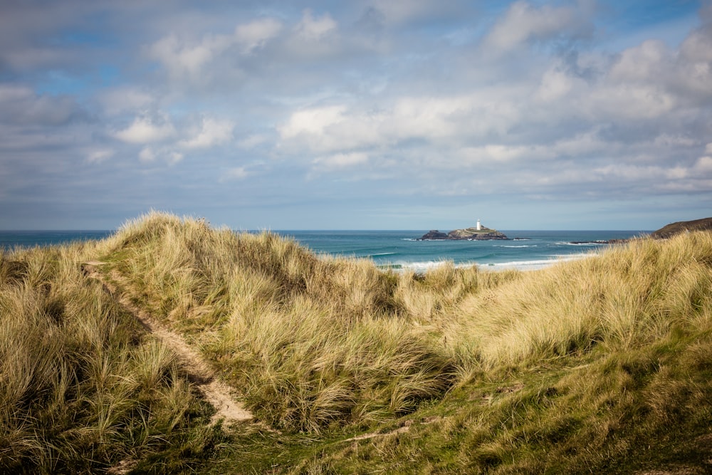 a grassy hill with a beach in the background