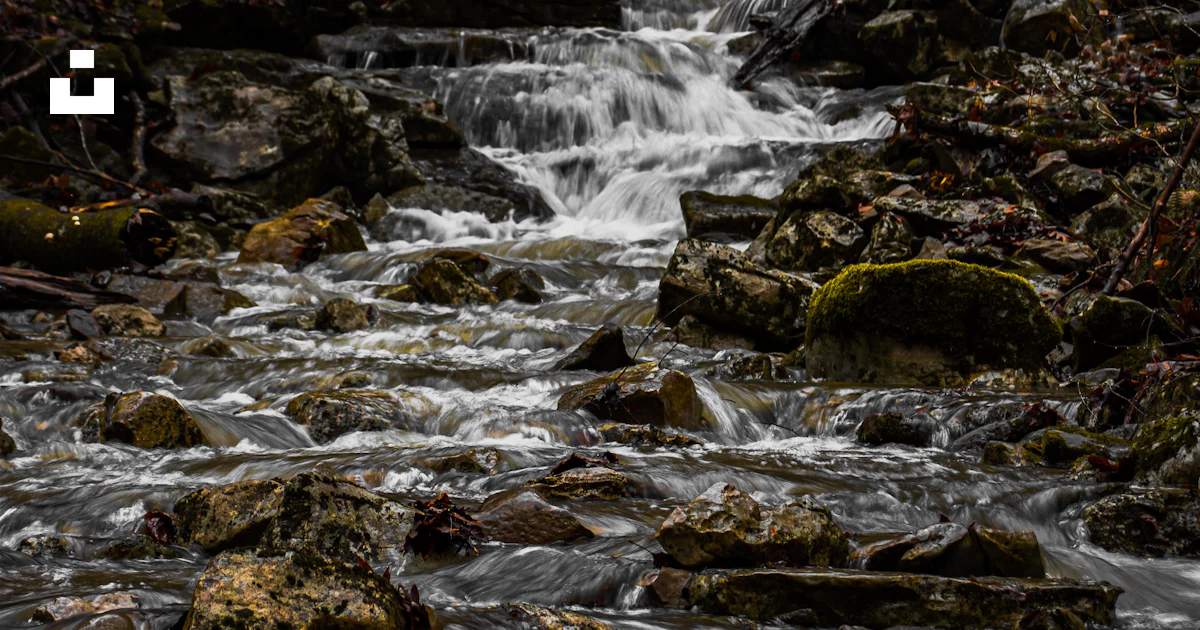 Muchas Rocas Foto Un arroyo que atraviesa un bosque lleno de muchas rocas – Imagen ...