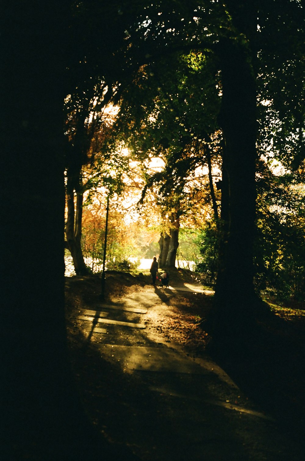 a person sitting on a bench in a park