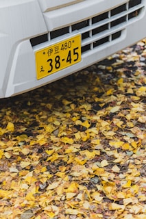 A white vehicle is partially visible with a yellow license plate displaying numbers and Japanese characters. The ground is covered with an abundance of yellow leaves, suggesting an autumn setting.