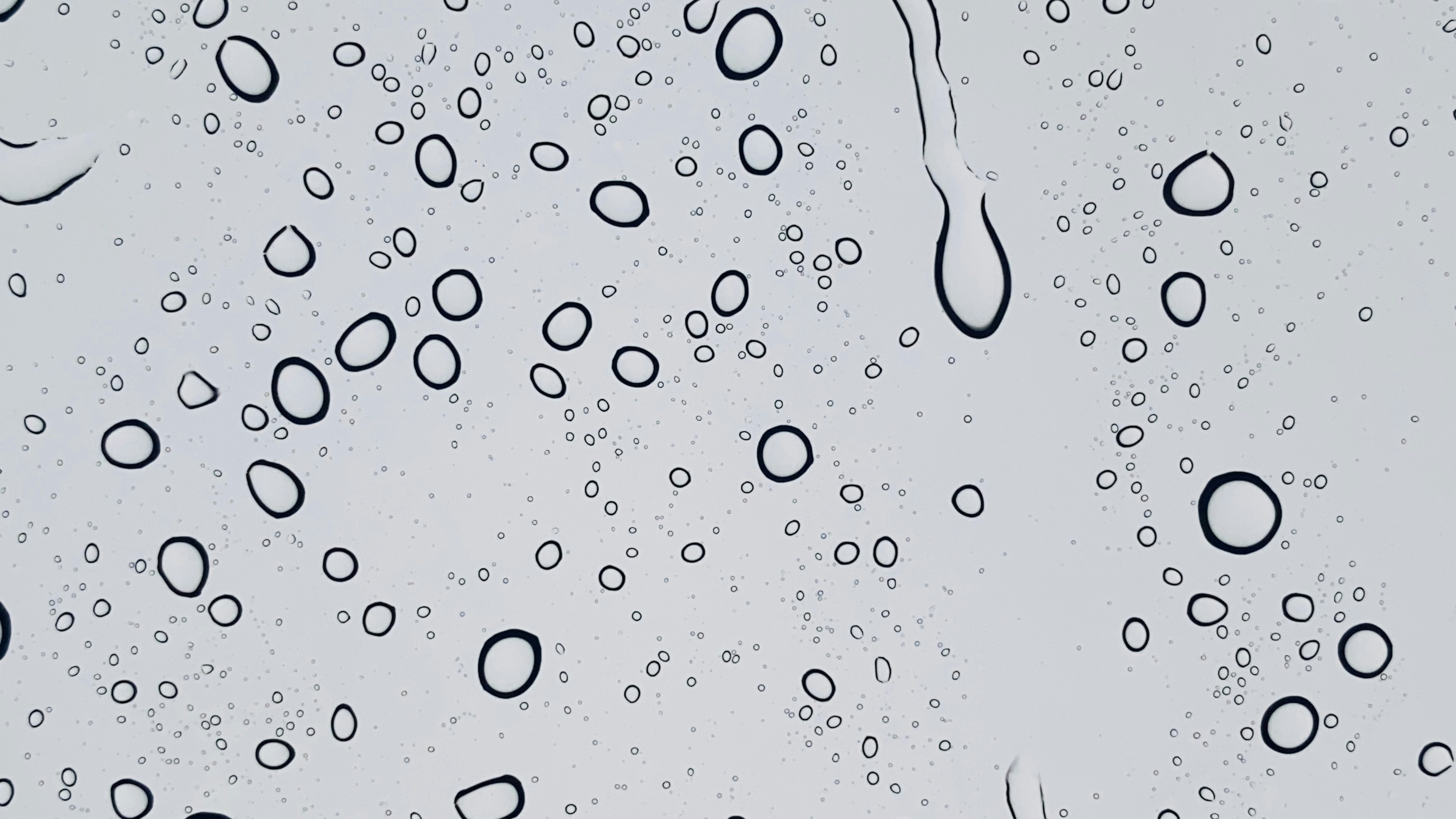 Photo by leandro_ramos