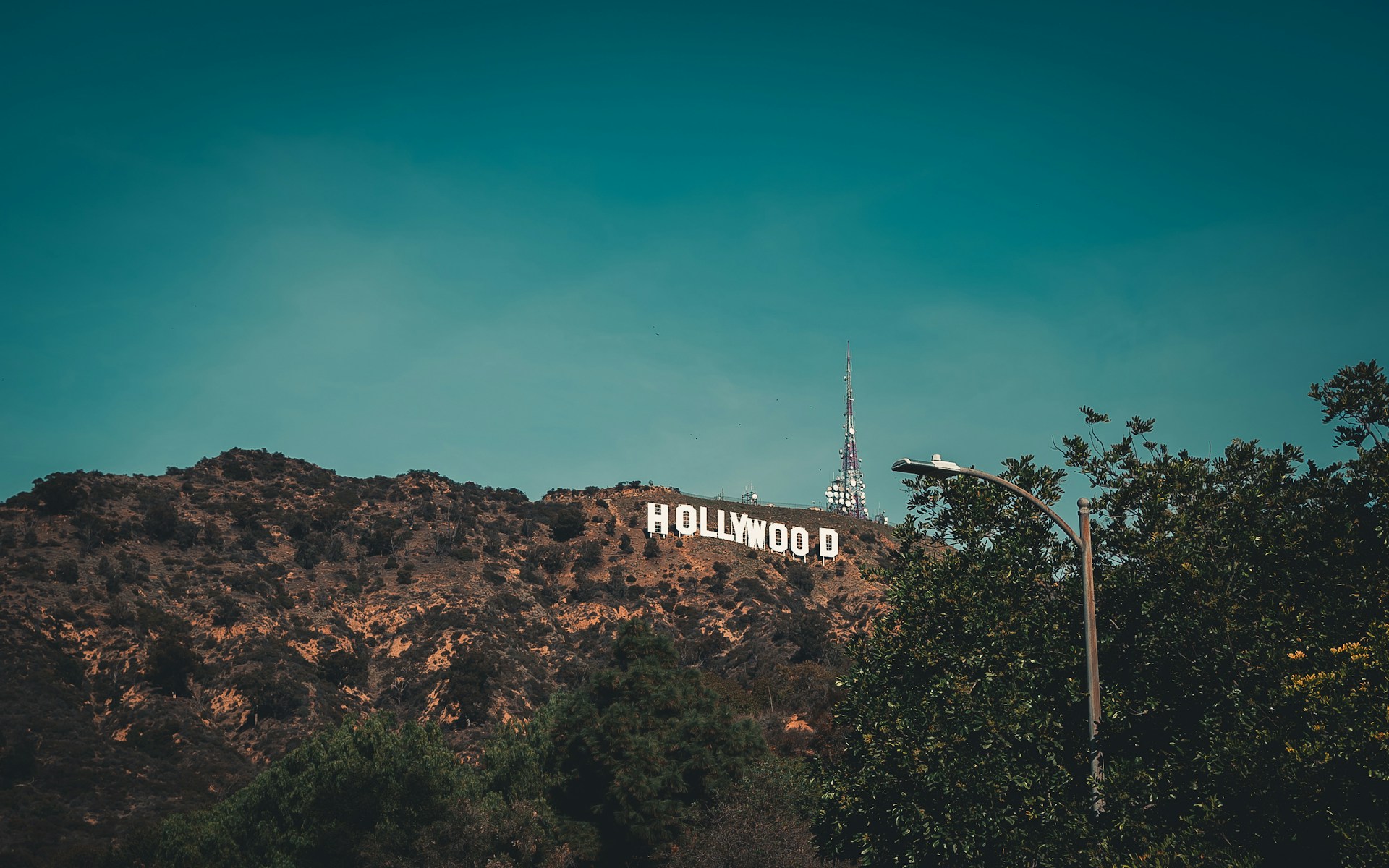 A black and white illustration of the Hollywood sign set against a clear sky, capturing the essence of classic cinema.