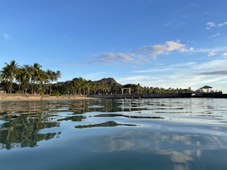 a body of water with palm trees in the background