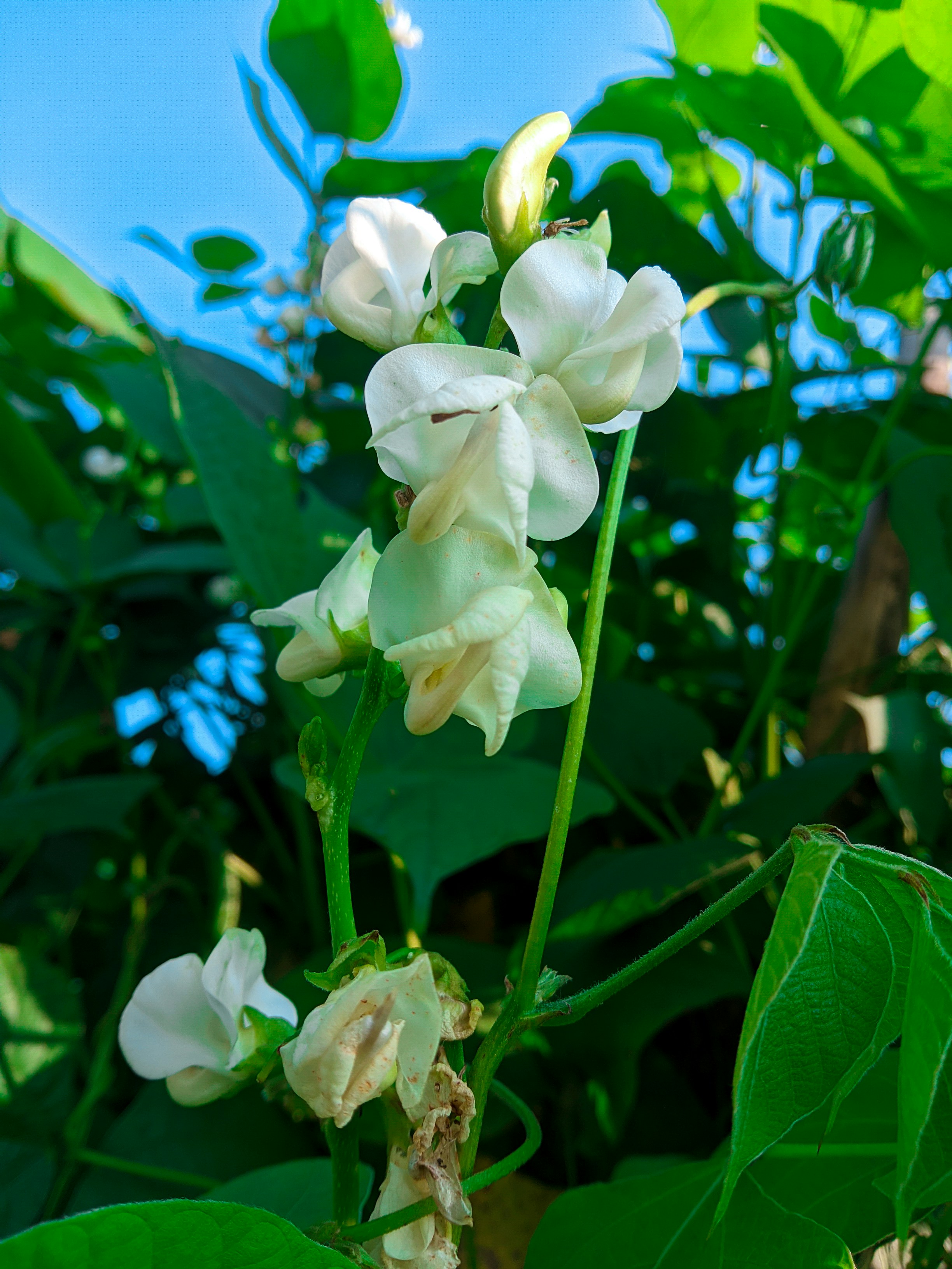 Photo by fayazahmedsunny