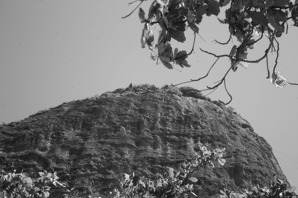 uma foto em preto e branco de uma grande rocha