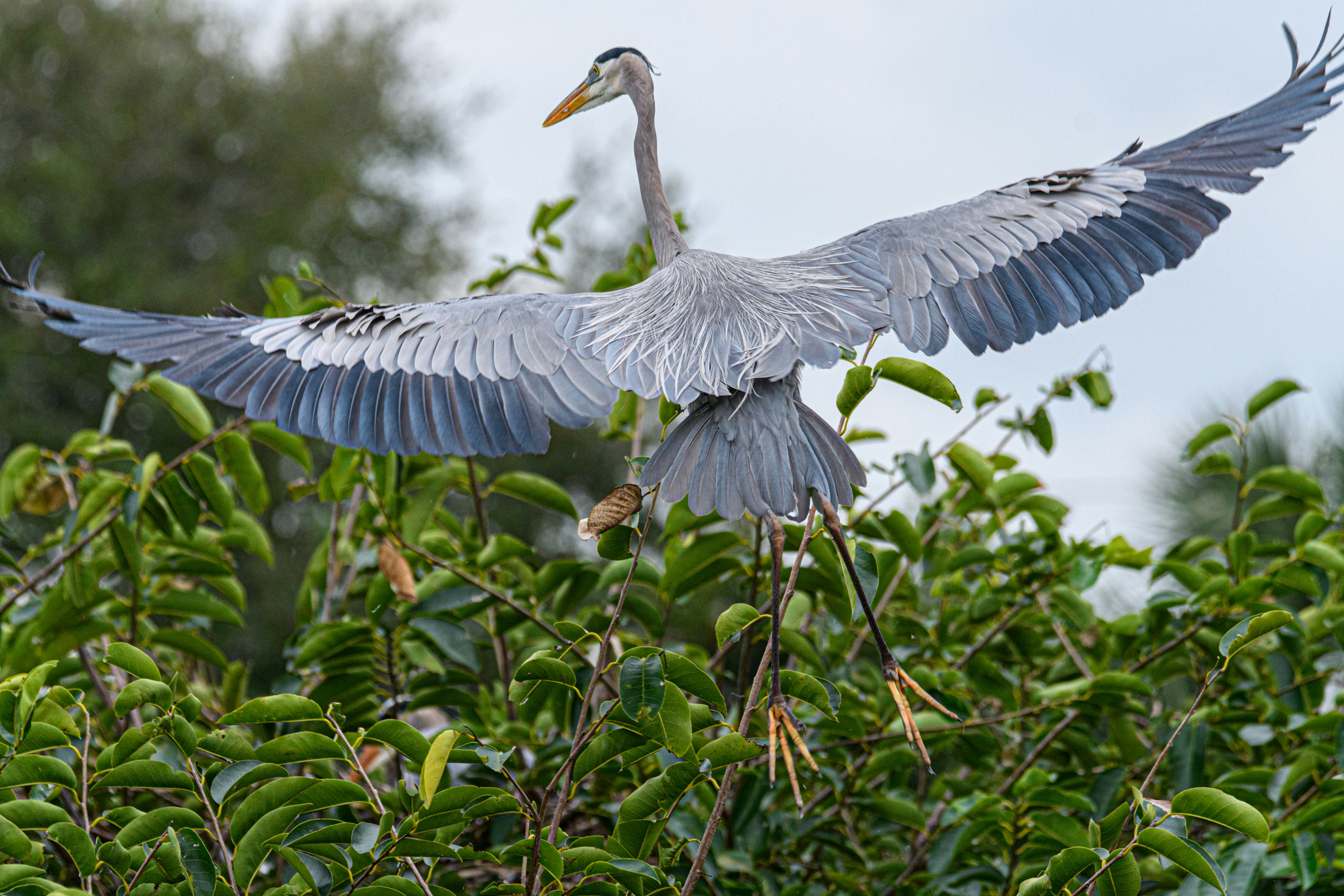 Photo by sagredophotography