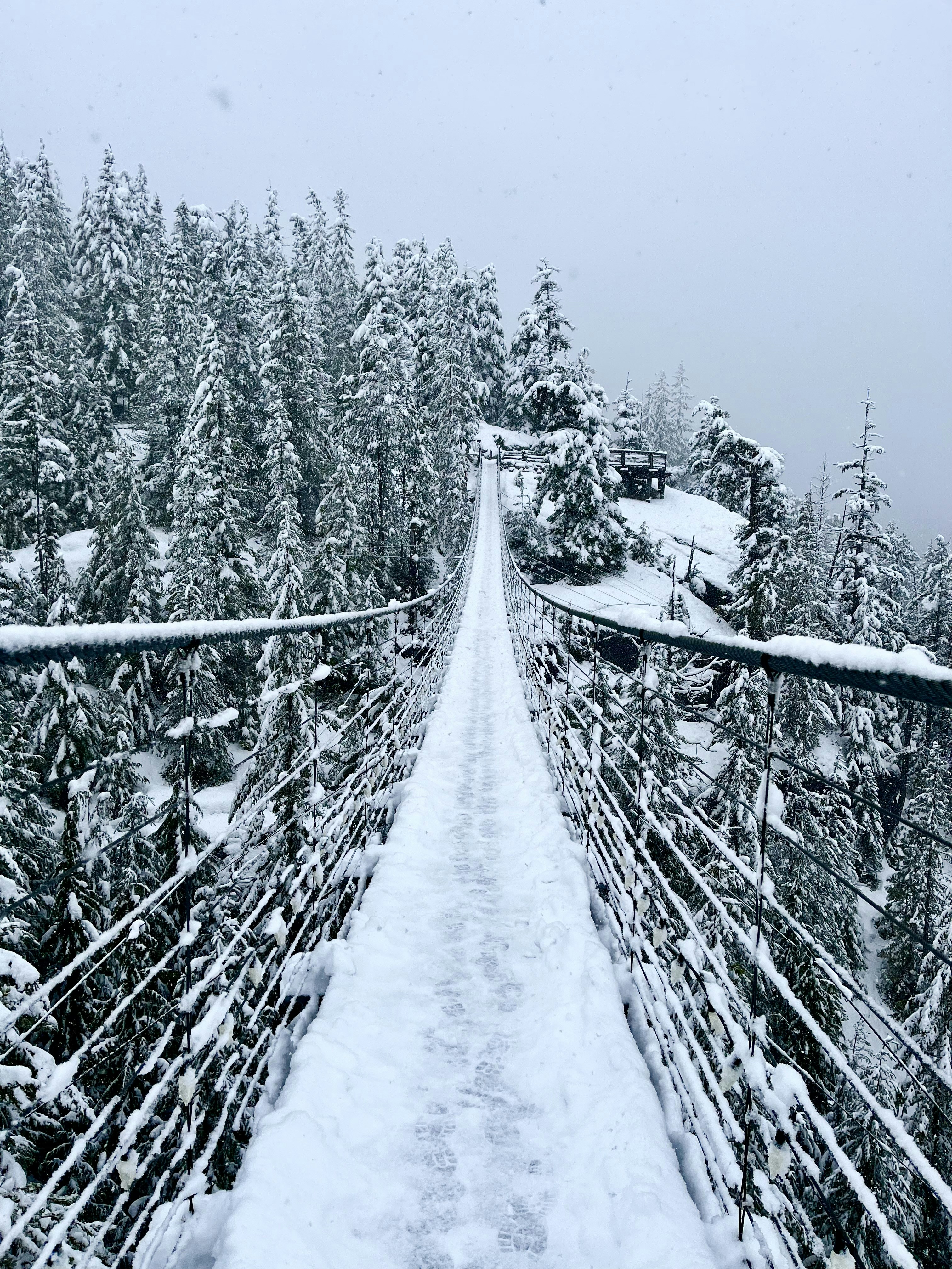 a suspension bridge in the middle of a snowy forest