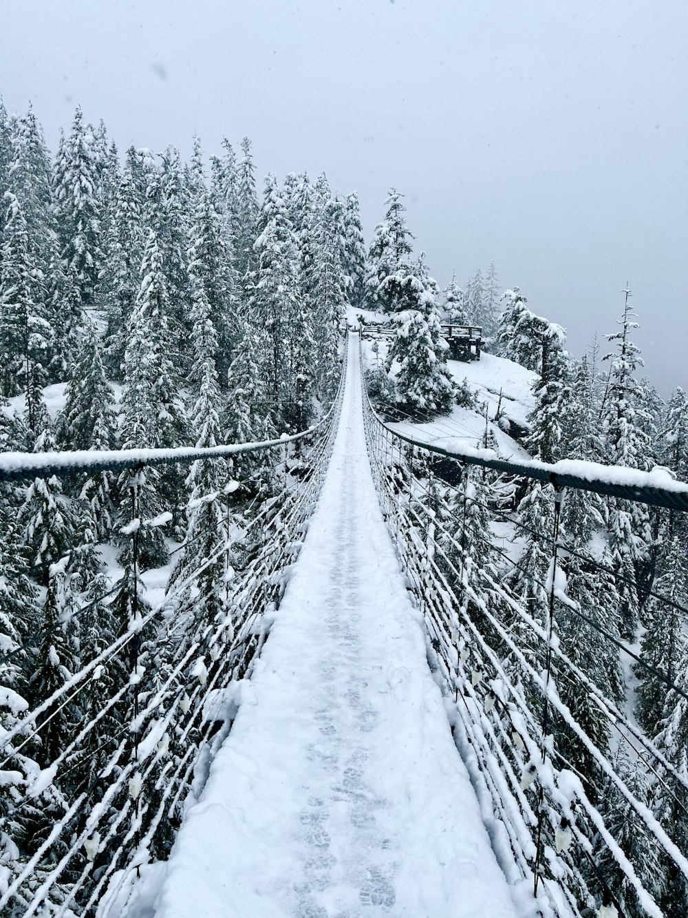 a suspension bridge in the middle of a snowy forest