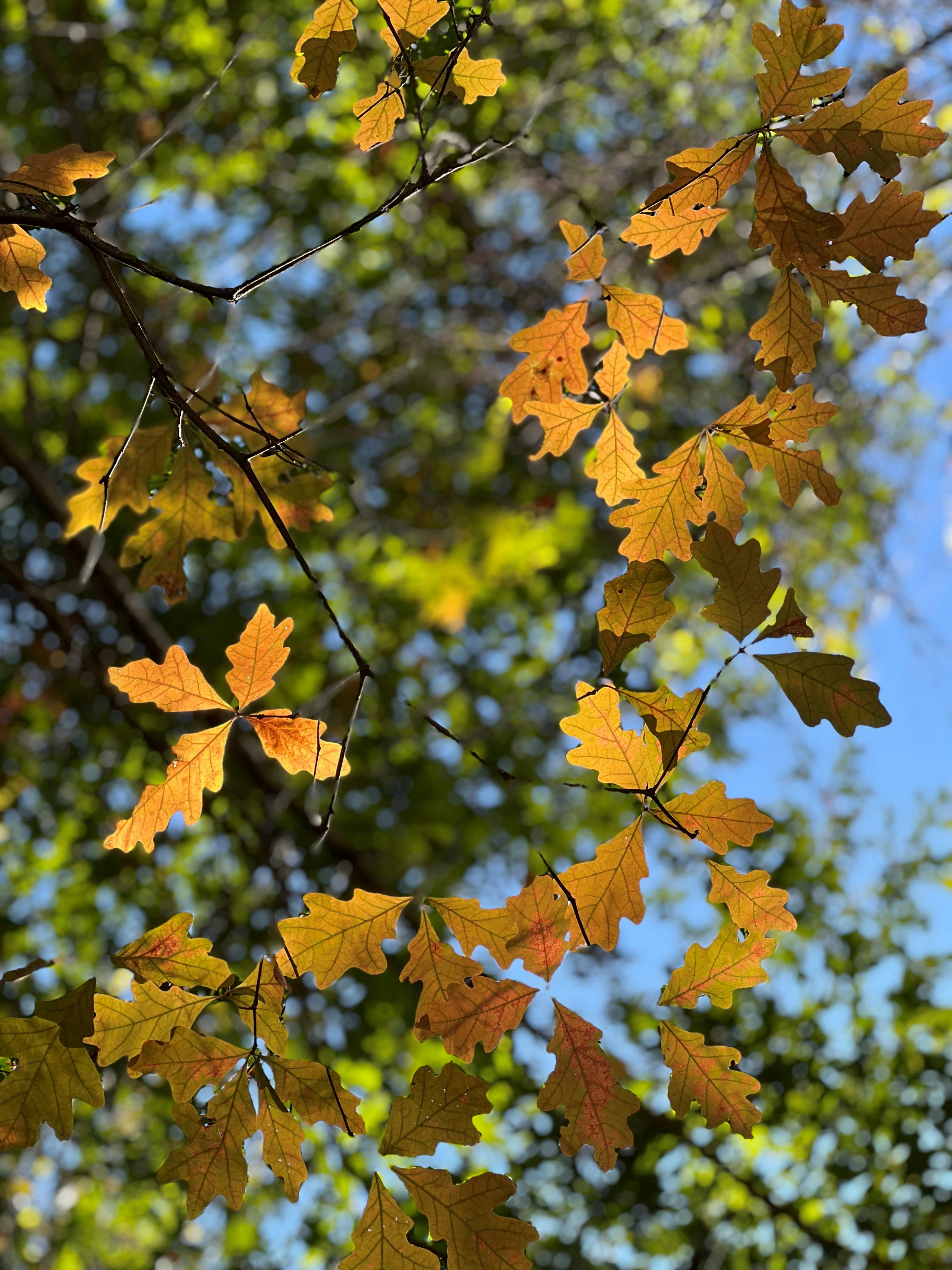 Photo by mike_loftus