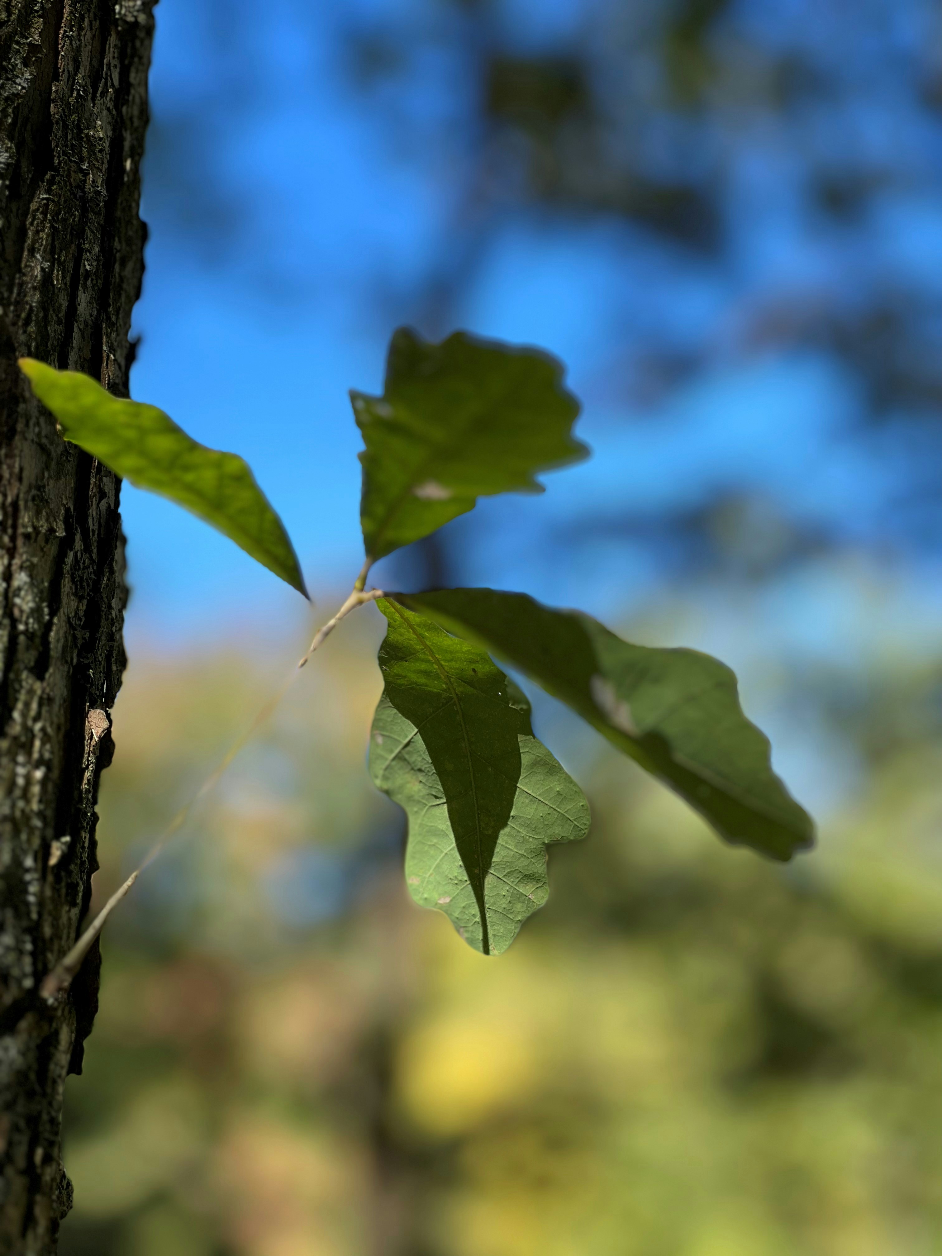 Photo by mike_loftus