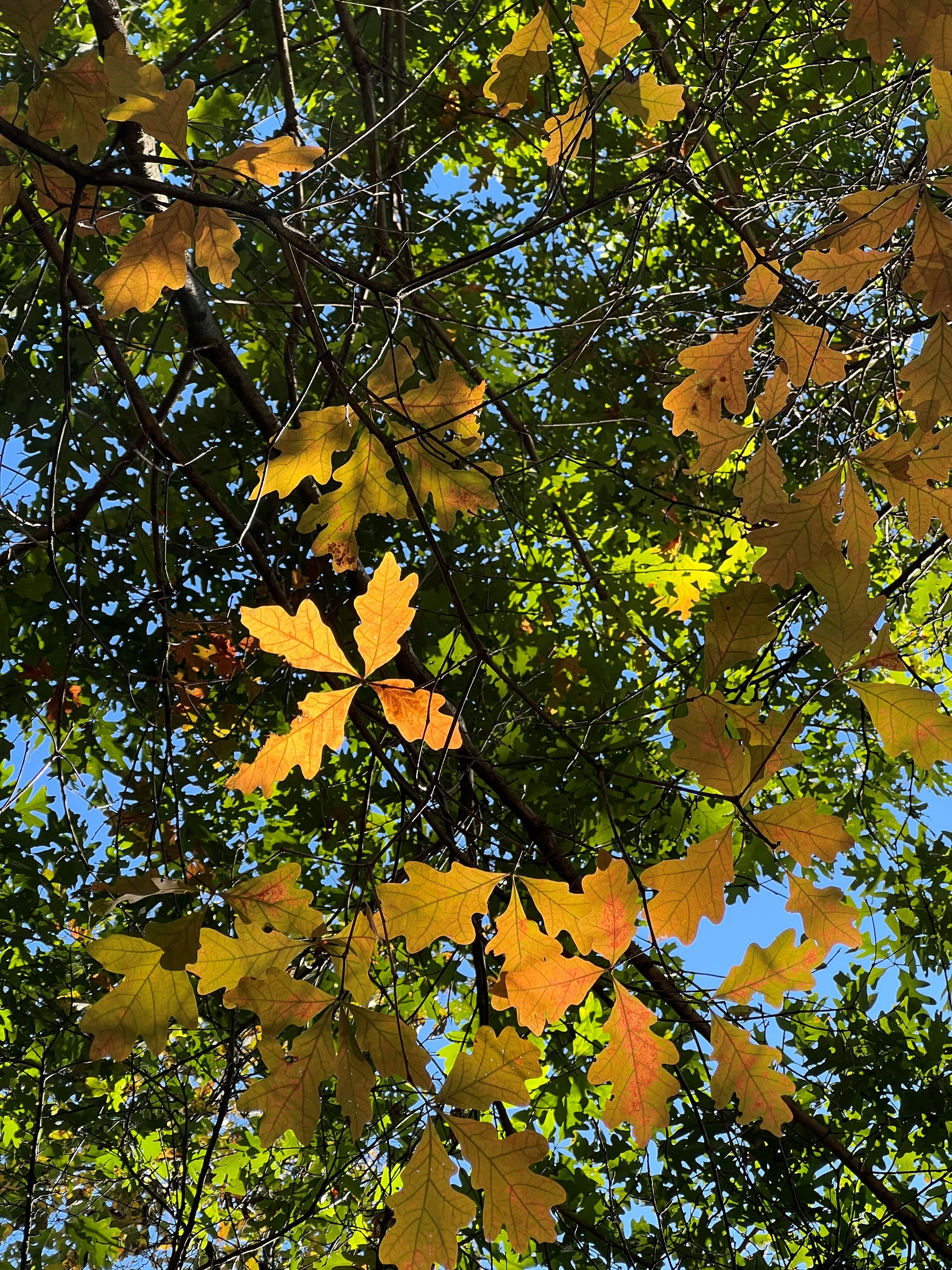 Photo by mike_loftus