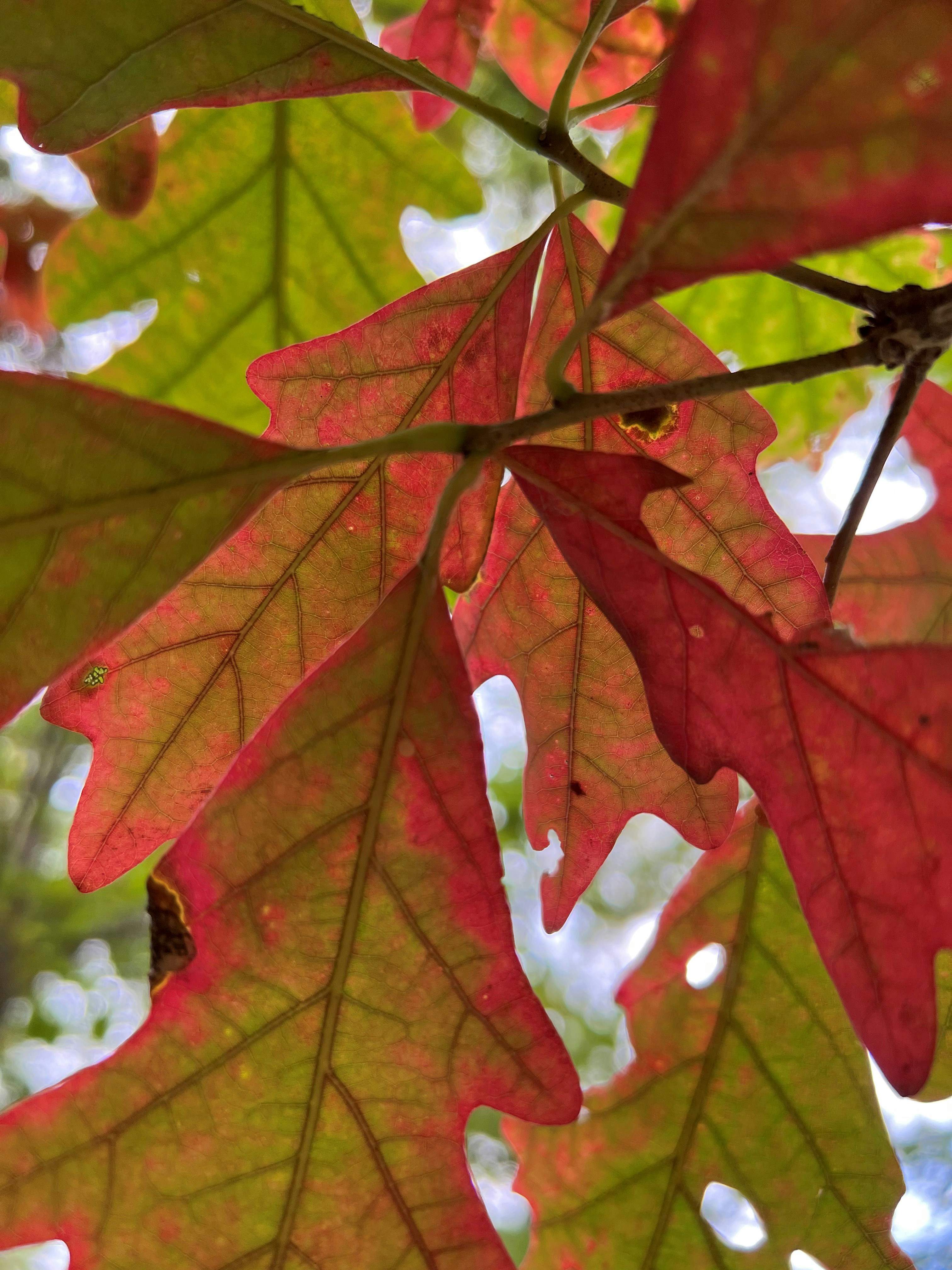 Photo by mike_loftus