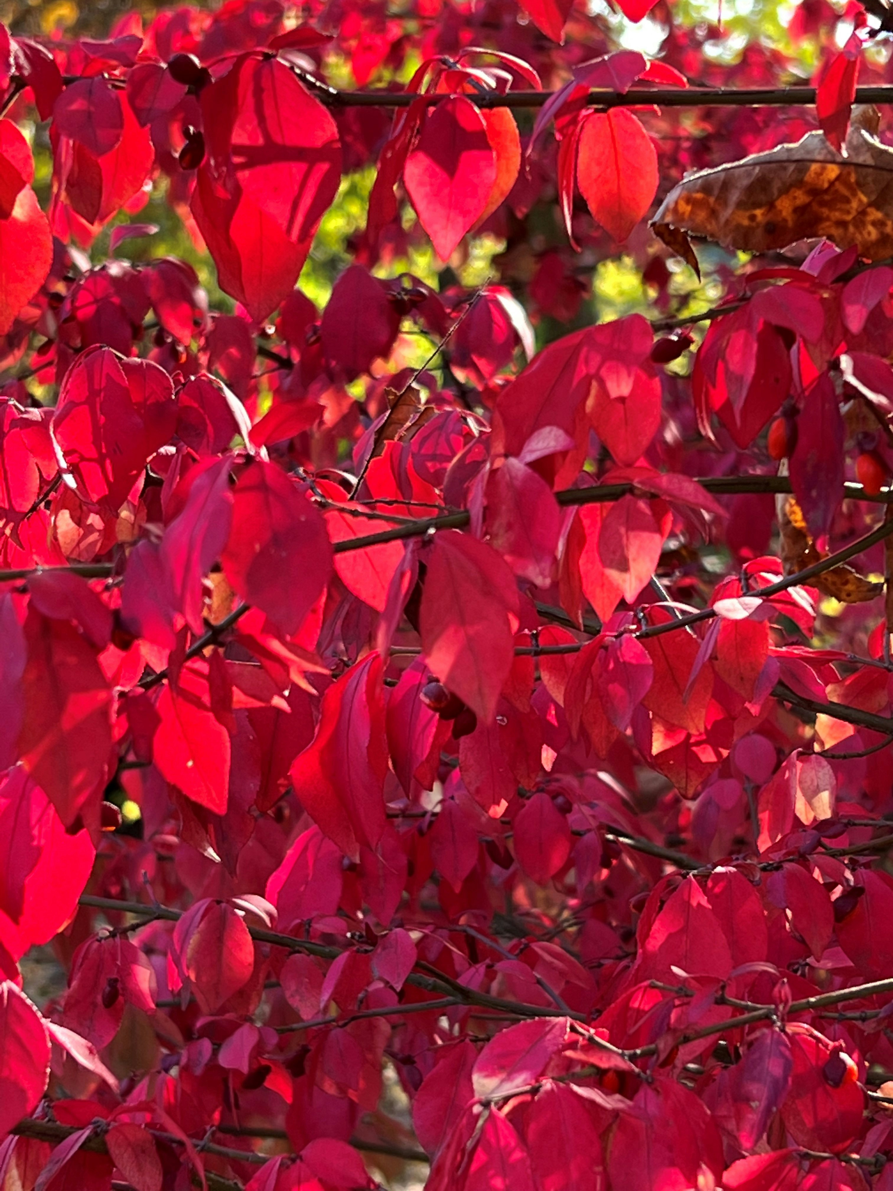 Photo by mike_loftus