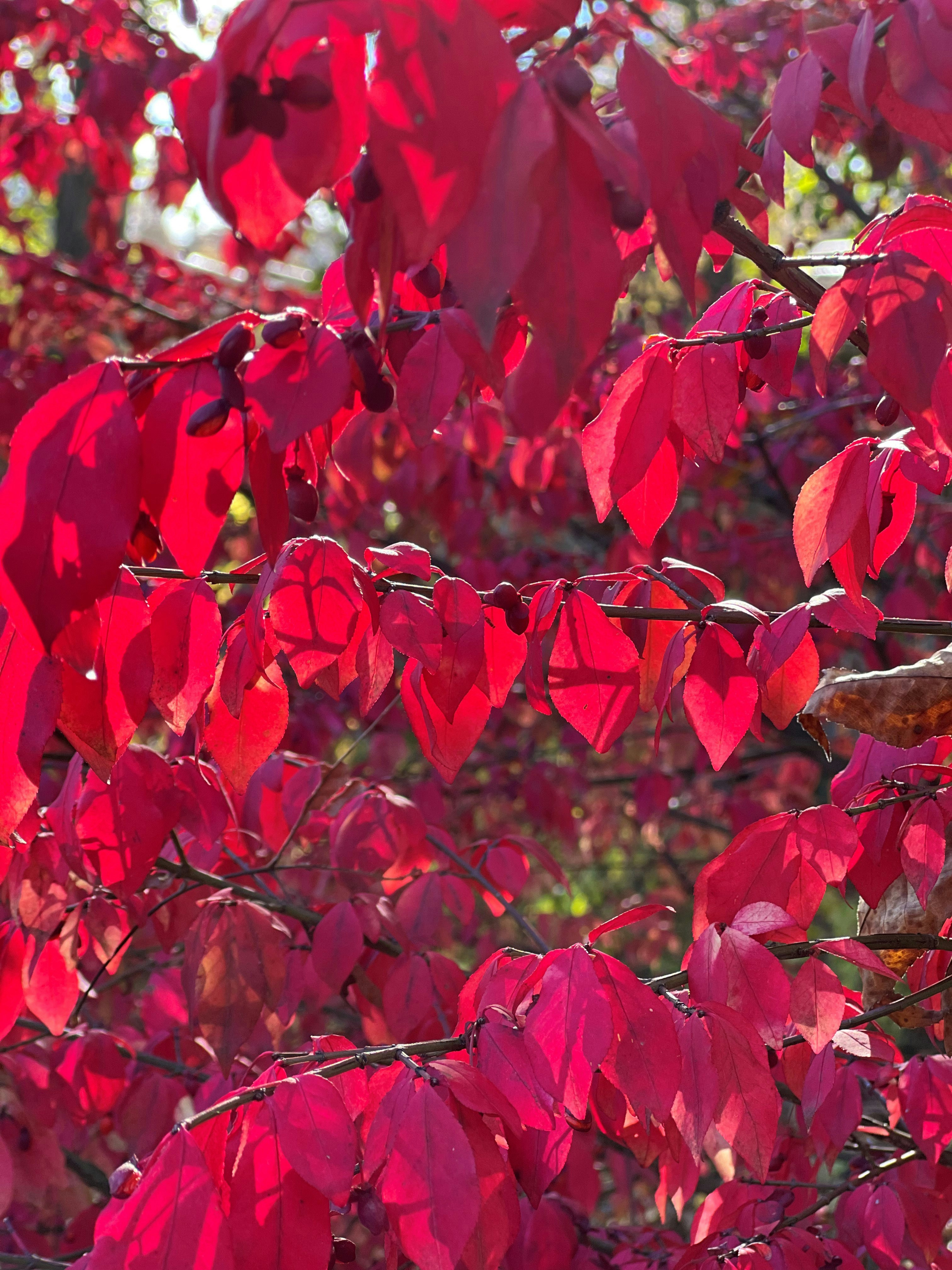 Photo by mike_loftus