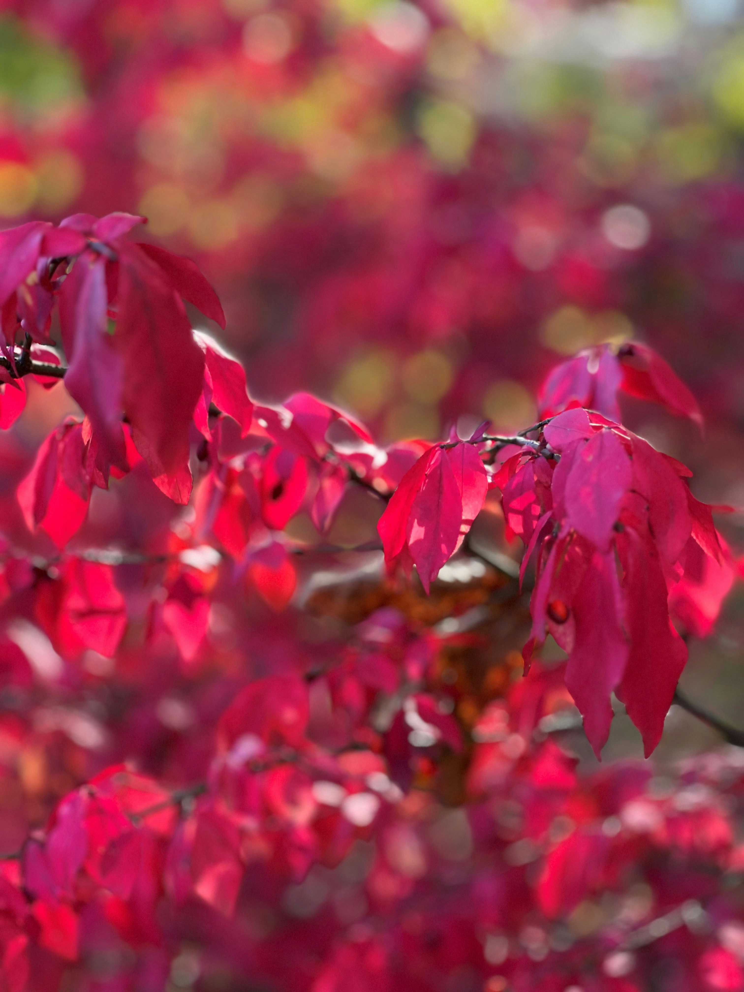 Photo by mike_loftus