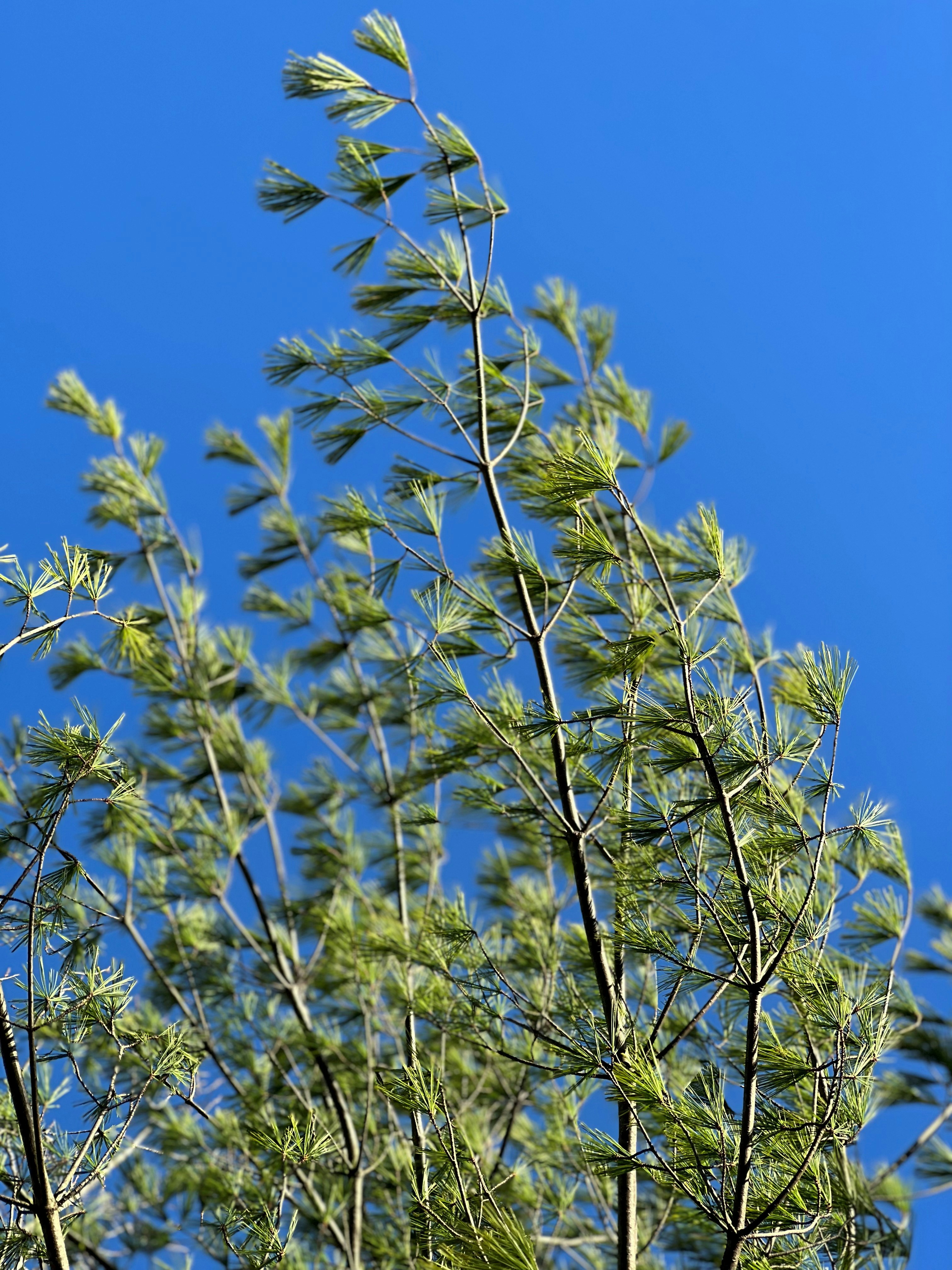 Photo by mike_loftus