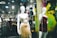 Mannequins in a store display window feature elegant dresses. The setting appears to be a modern clothing store with a sleek design, visible through reflections on the glass. The dresses are stylish and party-ready, with satin textures and bold colors. Background details suggest a bustling shopping area with clothing racks and ambient lighting.