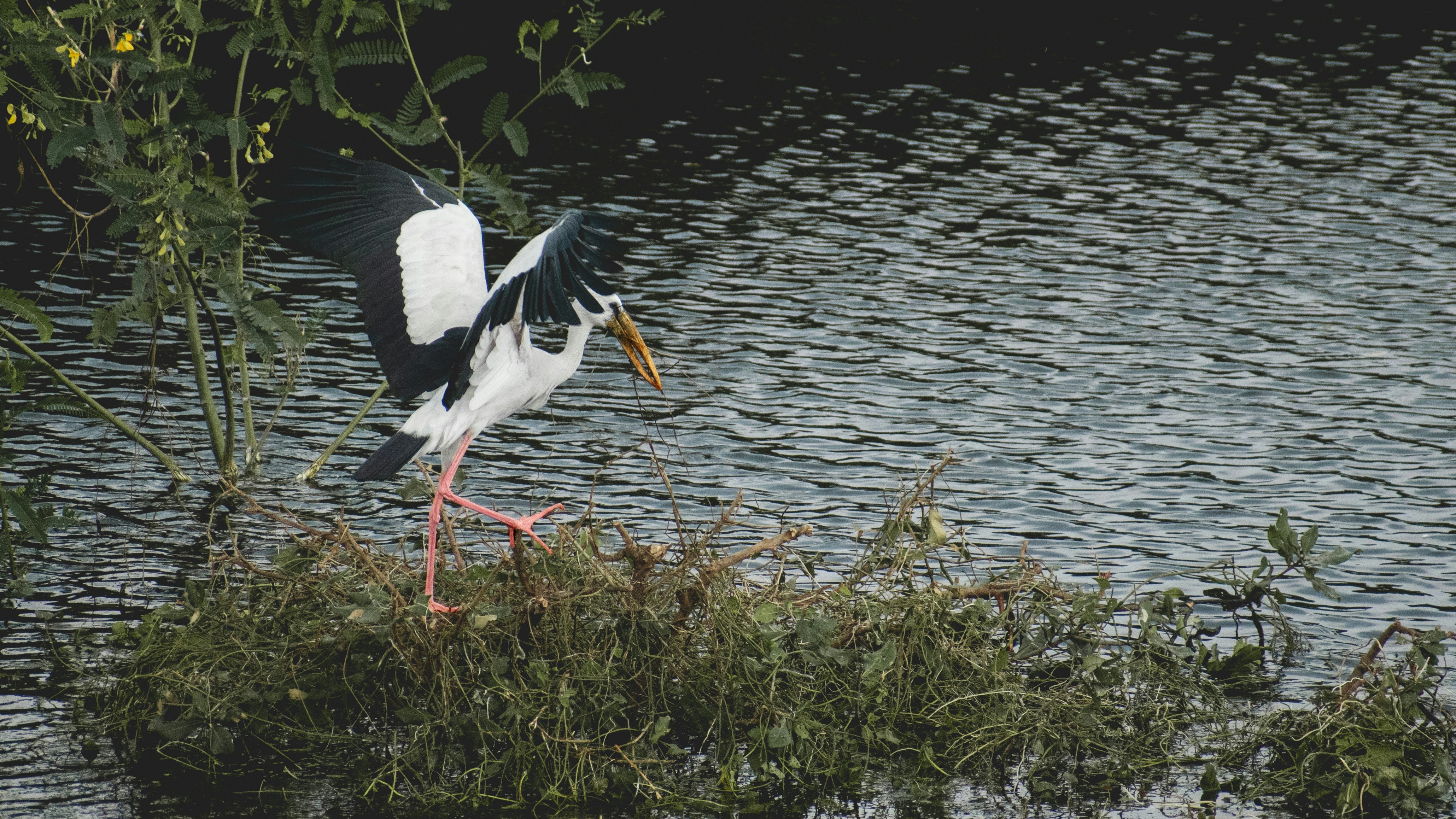 Photo by tanush_sunil