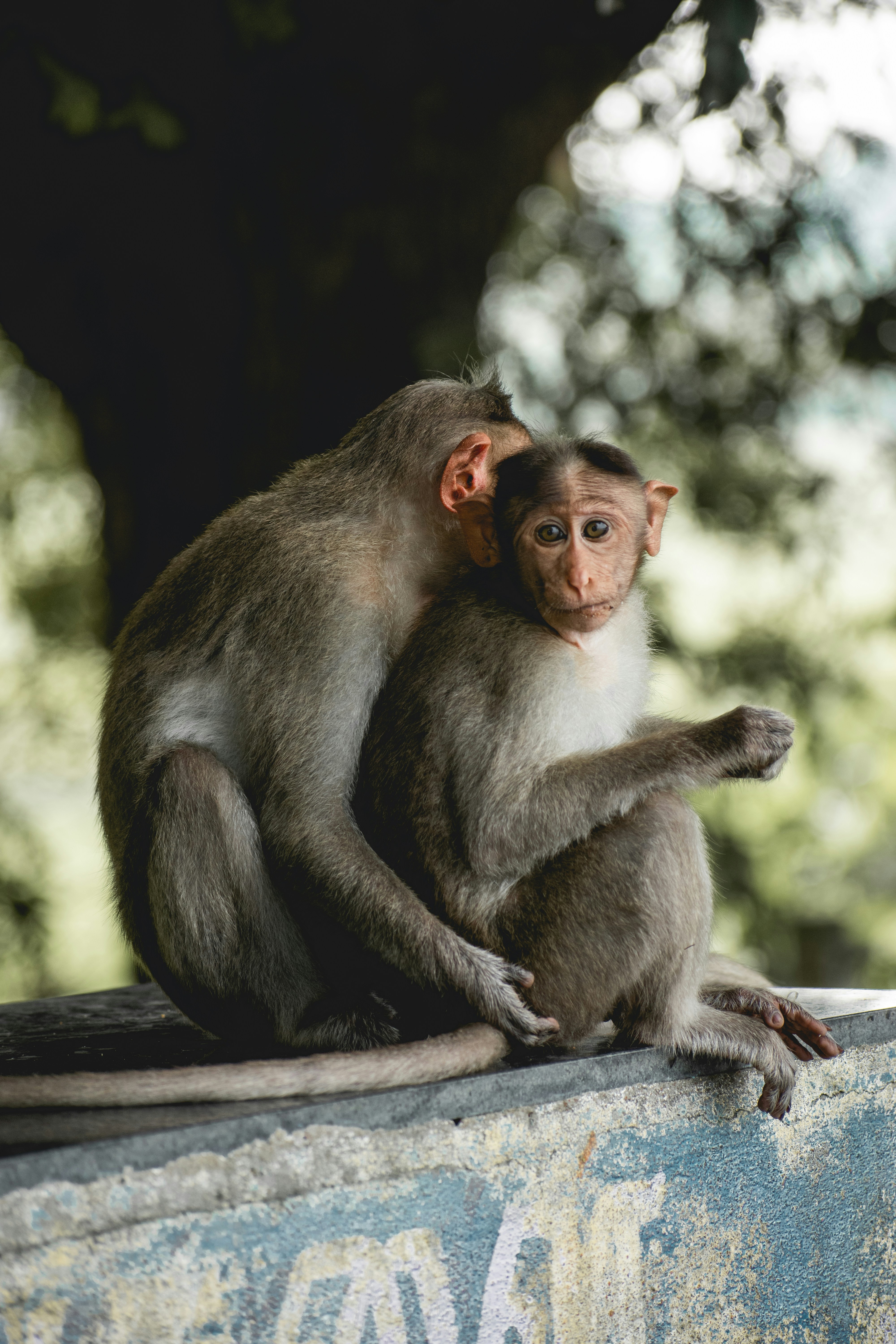 Photo by tanush_sunil