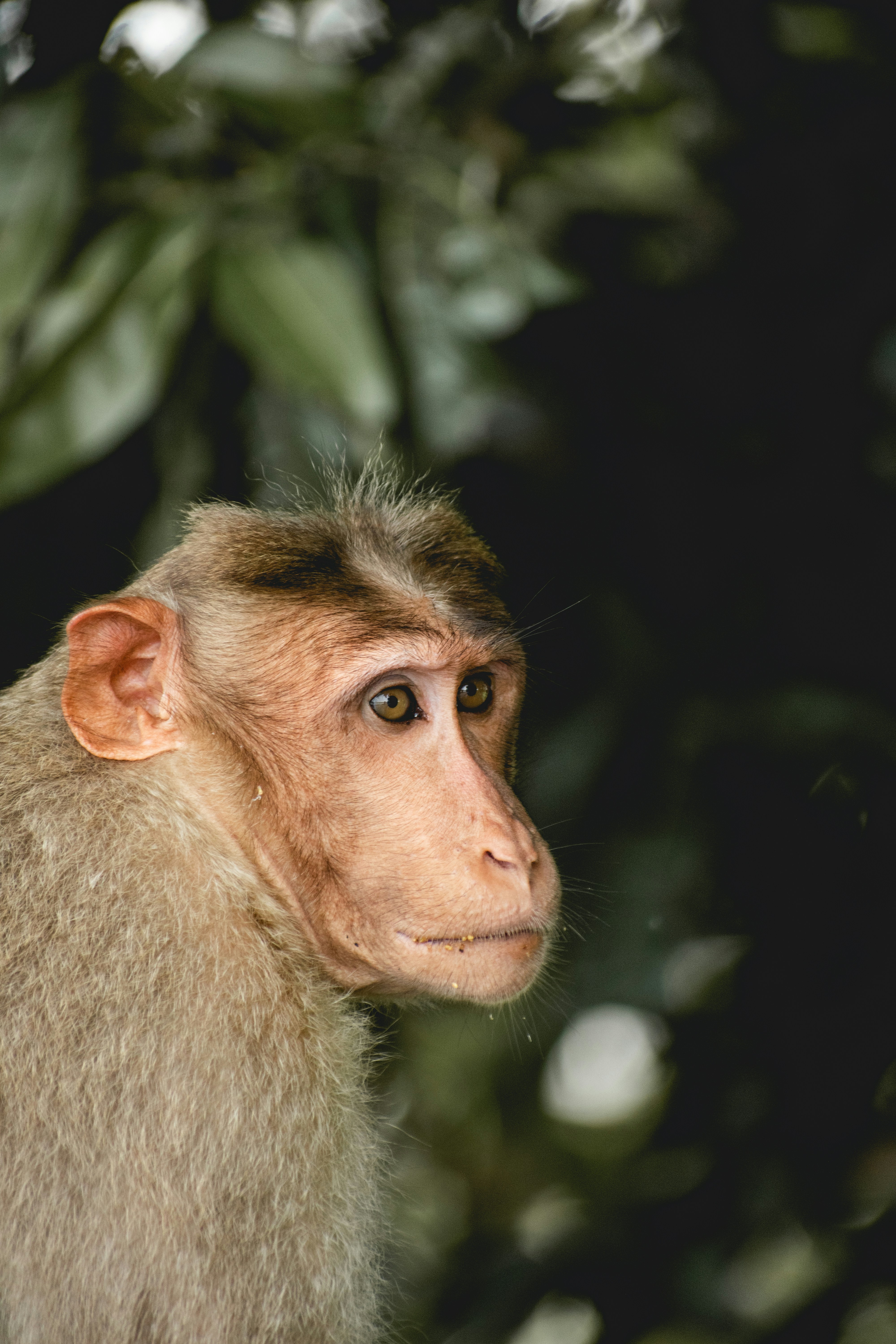 Photo by tanush_sunil