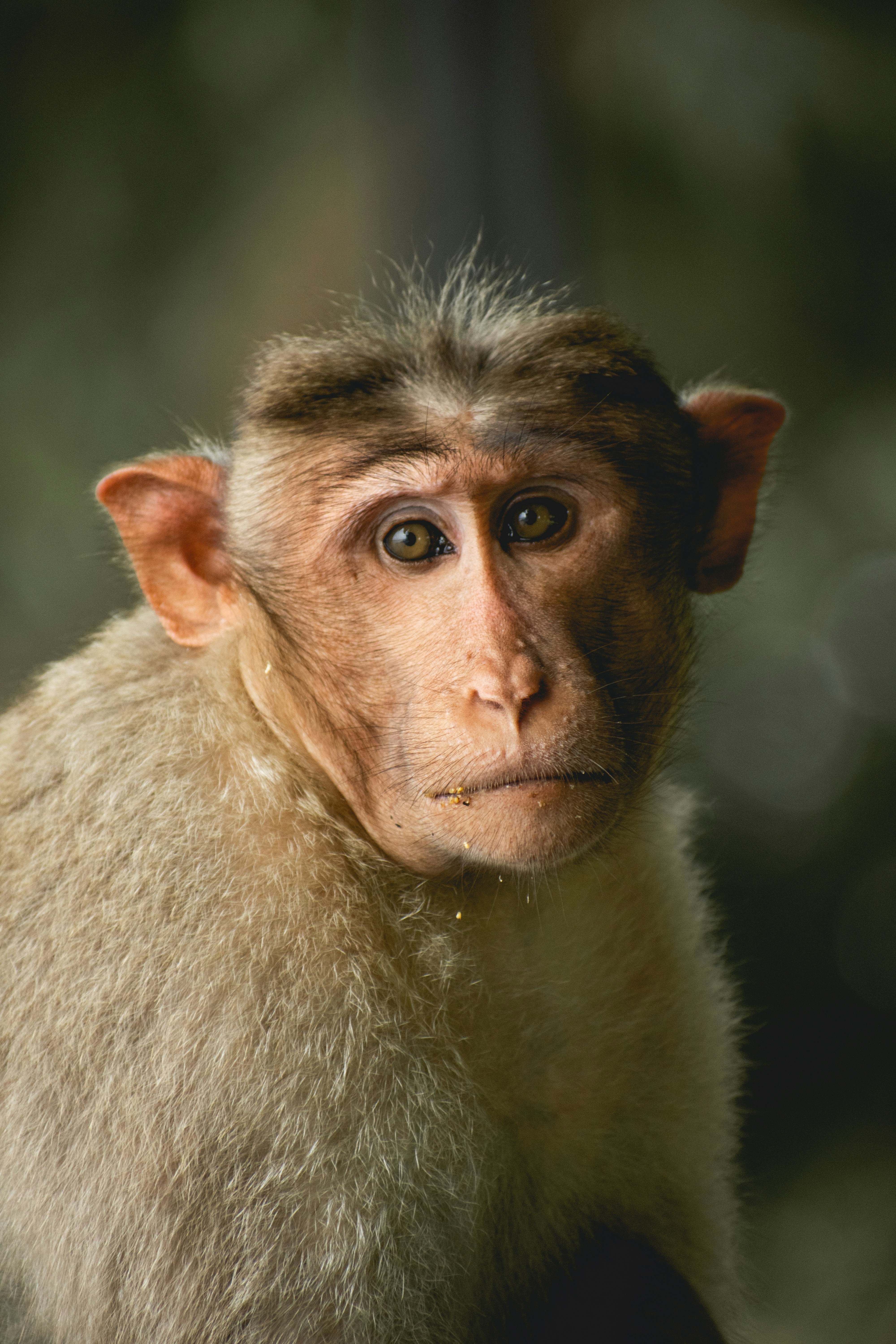 Photo by tanush_sunil