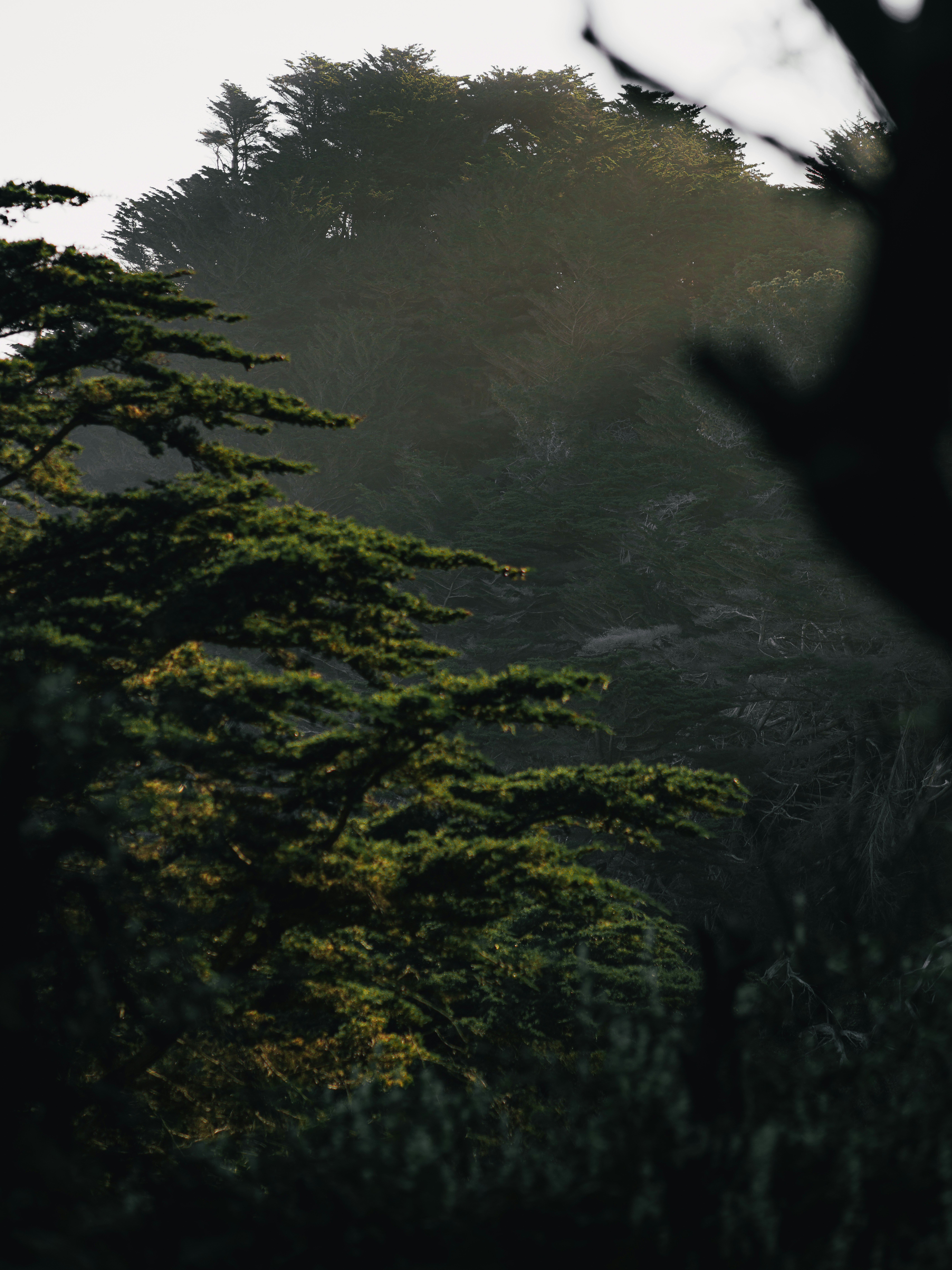 Photo by kalaniparker