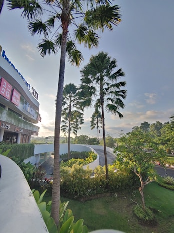 A shopping center with a variety of popular store logos is visible. Tall palm trees and lush green foliage are around, under a clear blue sky. The sunlight casts a warm glow, enhancing the greenery.