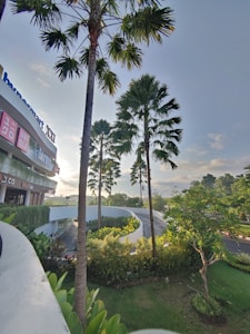 A shopping center with a variety of popular store logos is visible. Tall palm trees and lush green foliage are around, under a clear blue sky. The sunlight casts a warm glow, enhancing the greenery.