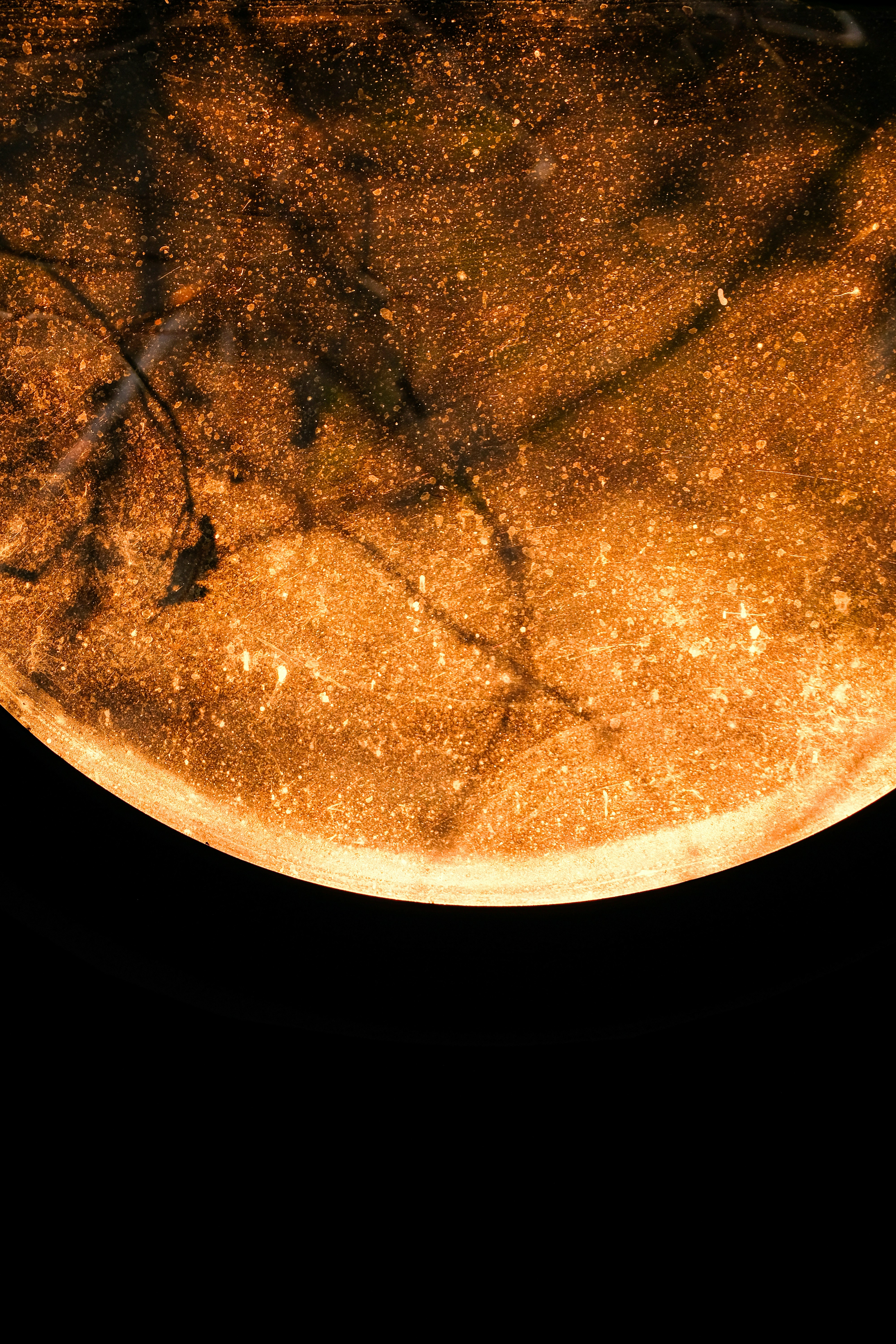 Photo by tanya_kartasheva