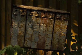 A row of old, rusted metal mailboxes is mounted against a wooden fence, partially obscured by surrounding leaves and plants. The mailboxes display faded numbers and are set in a dimly lit, outdoor area with a natural, rustic appearance.